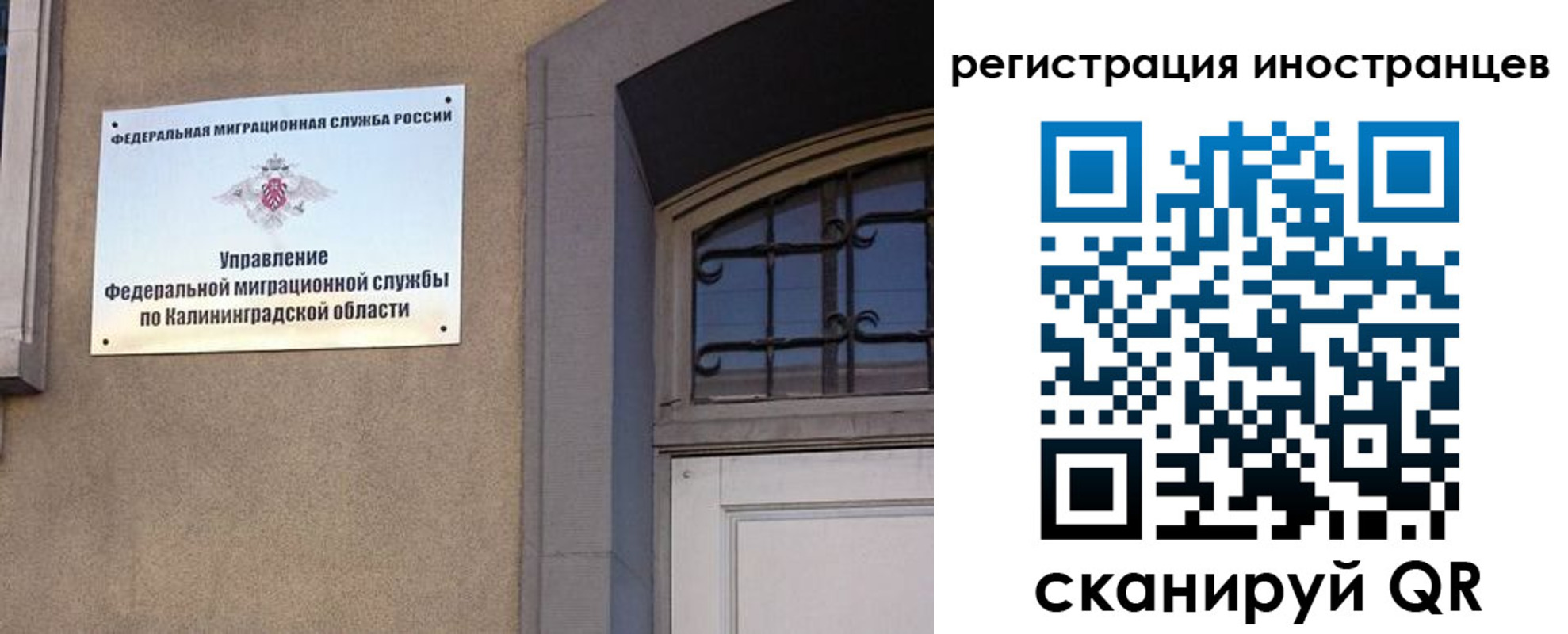 временная регистрация гарантия в Коврове
